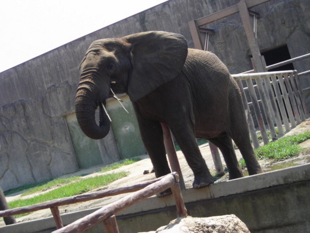 東武動物公園