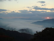 いくsanさんの大江山雲海の投稿写真1