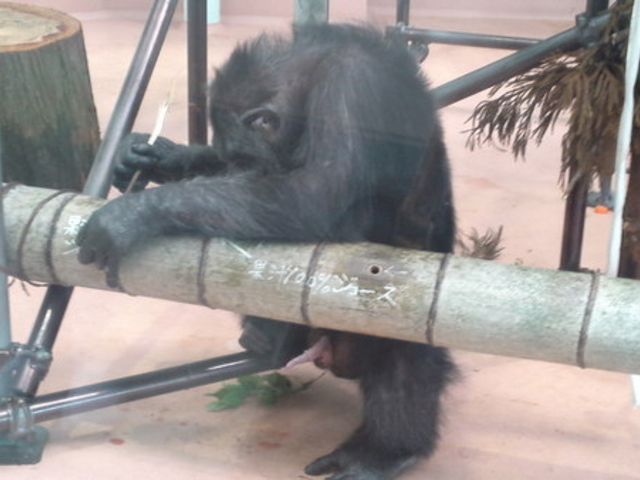 熊本市動植物園