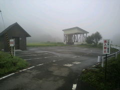 ラリマーさんの小杉の大杉(トトロの木)への投稿写真1