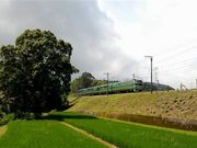やっさんさんの天拝山の投稿写真1