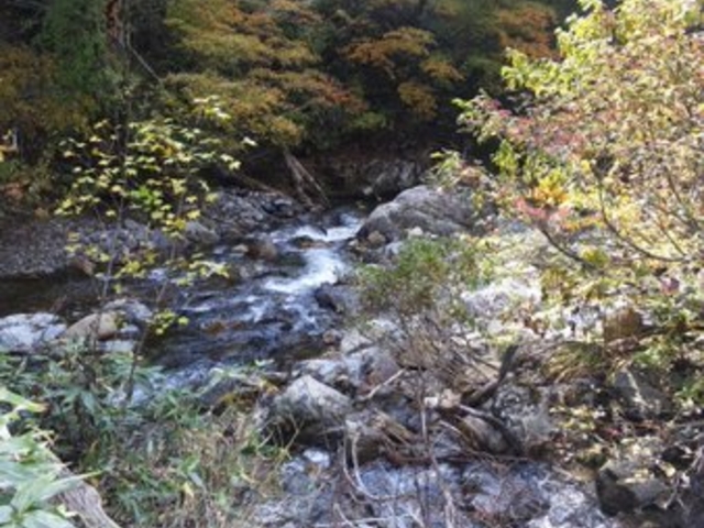 照葉峡