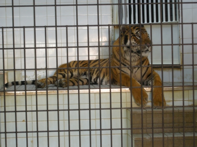 愛媛県立とべ動物園