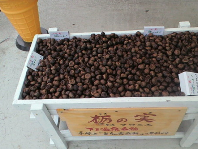 千寿堂