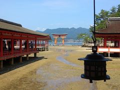 嚴島神社の写真1