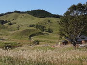しどーさんのとのみね自然交流館の投稿写真1