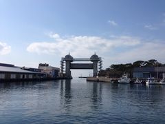 沼津港大型展望水門びゅうおの写真1