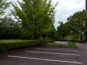 かんちゃんさんの南山公園の投稿写真1