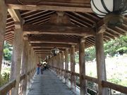 ぽんさんの長谷寺の牡丹の投稿写真3