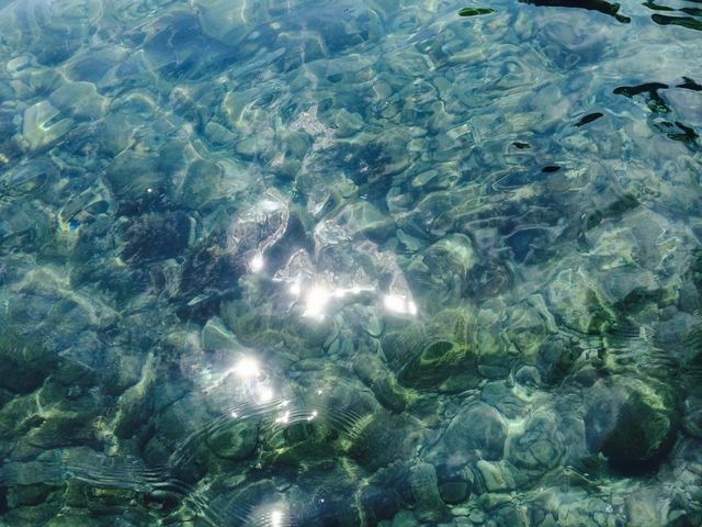 透明度がすごい!_ヒリゾ浜