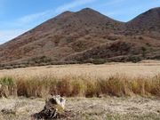 muuさんの坊がつるキャンプ場の投稿写真1