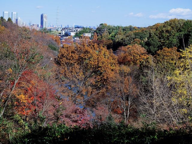 展望広場からの眺め_三ツ池公園