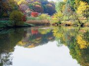 とっちゃんさんの県立四季の森公園の投稿写真1