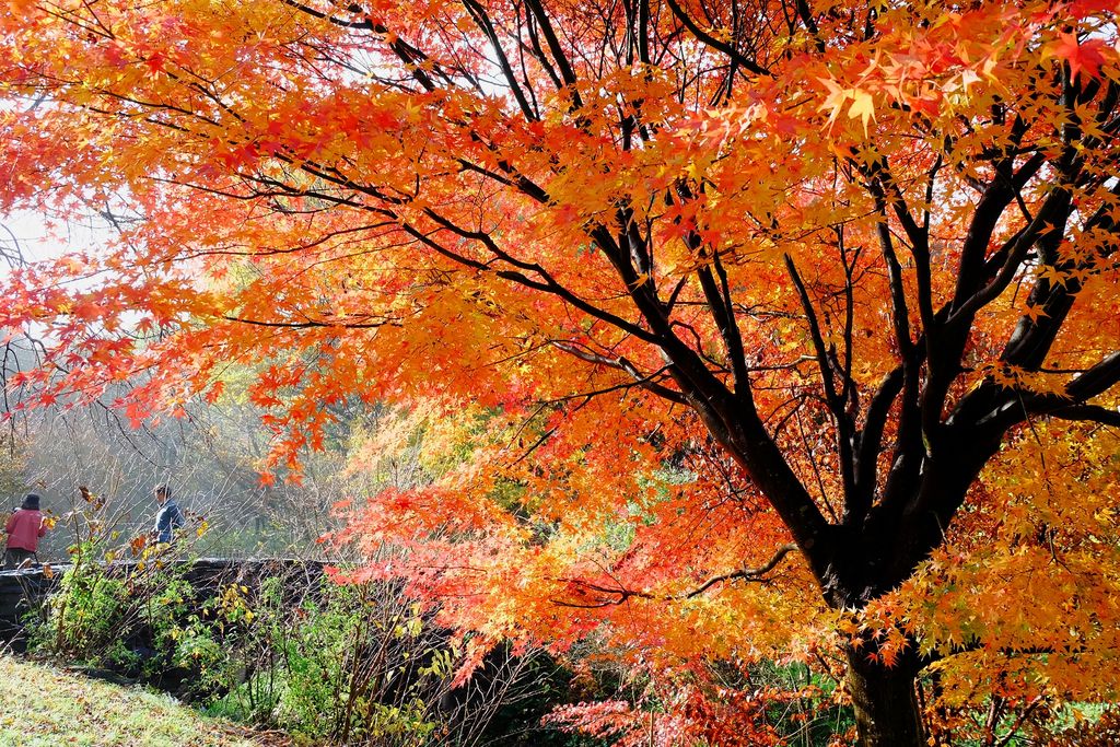 県立四季の森公園