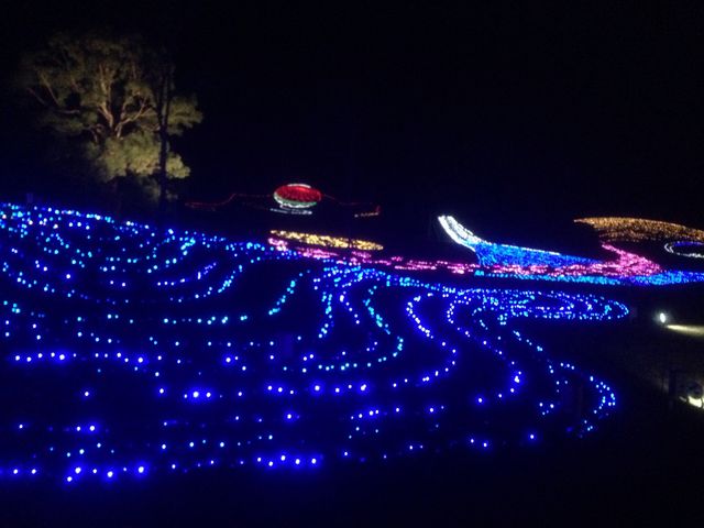 ウインターイルミネーション_国営讃岐まんのう公園