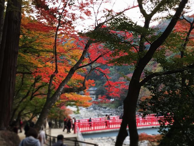 紅葉始めでしたが、場所によっては真っ赤でした。
赤い橋がまた良い感じです。_香嵐渓