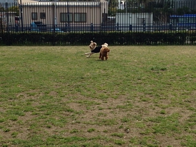 浦安市運動公園
