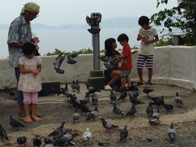 鳩の餌やり_弘法山