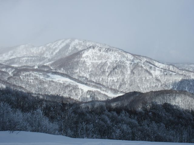 栂池スキー場を望む_白馬岩岳スキー場