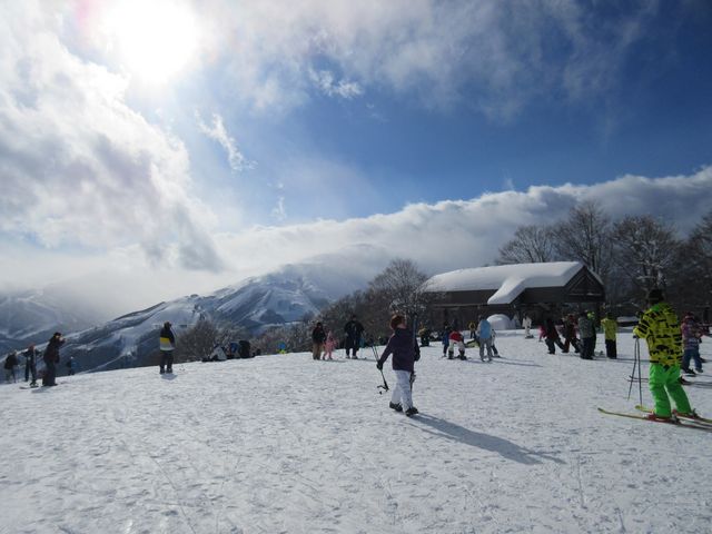 ワイドな一枚バーンのサウスゲレンデ
(一日陽当たり良好!)_白馬岩岳スキー場