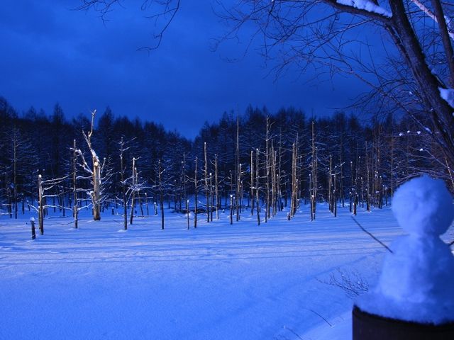 誰かが作った雪だるま、モデルにお借りしました。_青い池