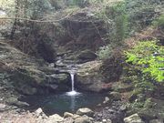 meさんの犬鳴山の投稿写真2