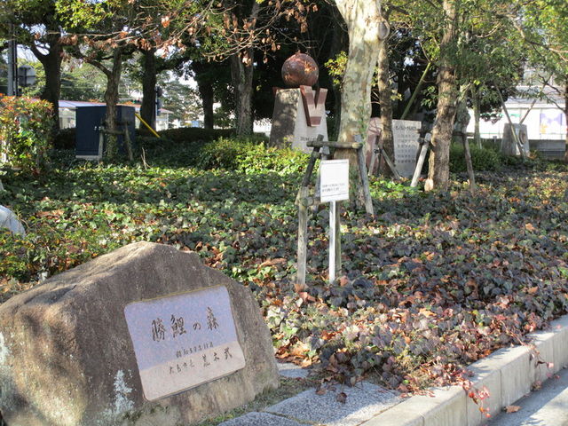 「勝鯉の森」全景_旧広島市民球場跡地