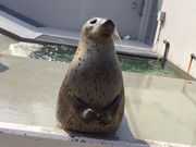 そらさんの神戸須磨シーワールドの投稿写真1