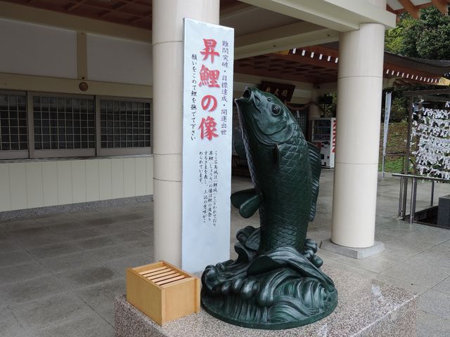 滝登りで運気上昇?_広島護国神社