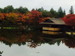 国営昭和記念公園の写真1