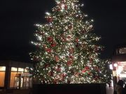 キャサリンさんの恵比寿ガーデンプレイスの投稿写真1