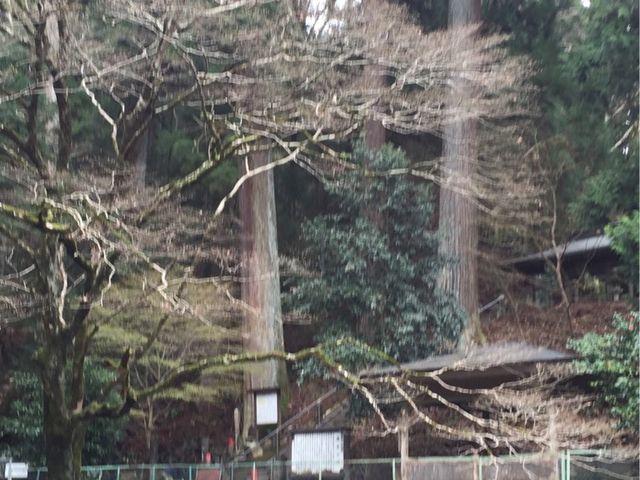 箱島湧水