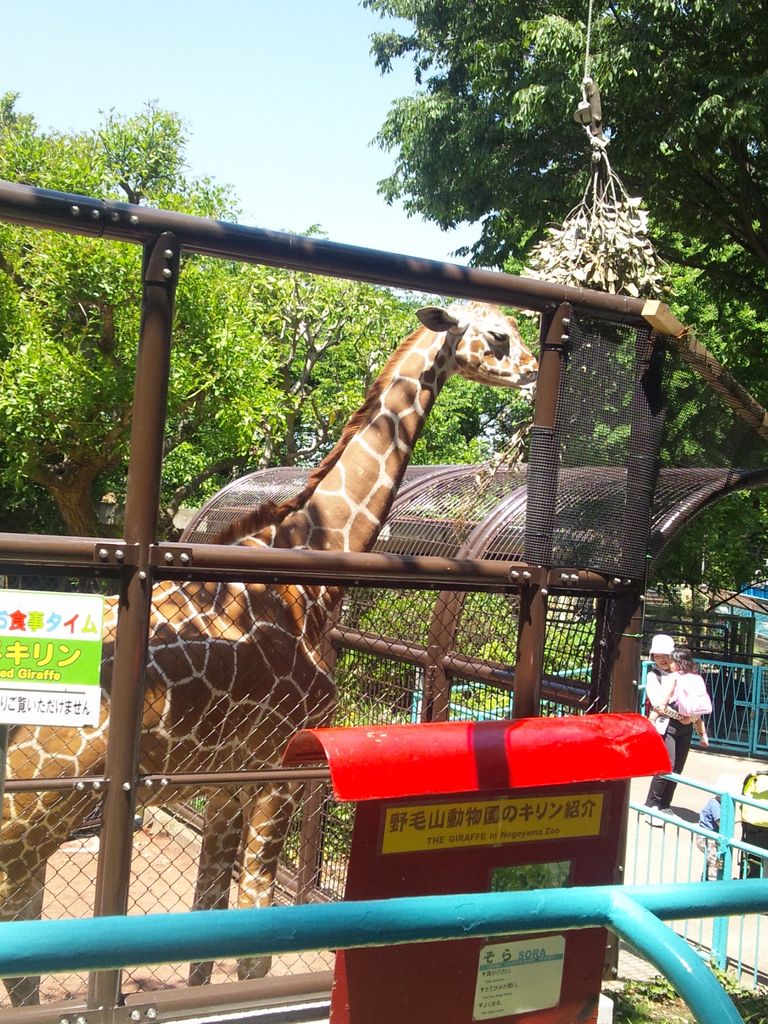 野毛山動物園