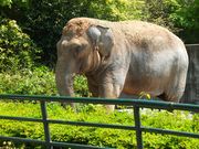AGさんの桐生が岡動物園の投稿写真1