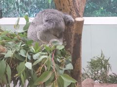 平川動物公園の写真1