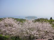 もちゃさんの魚見岳自然公園の投稿写真1