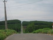りゅうさんの西神楽就実の丘の投稿写真1
