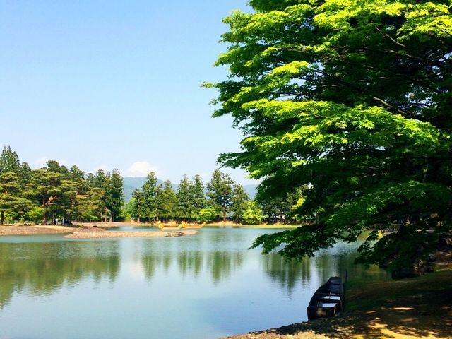写真ではお伝えできない感動がここにはありますよ!ぜひ訪れてみて欲しい場所です。_毛越寺浄土庭園