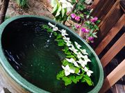 あひるさんの四季館 彩冬の投稿写真2