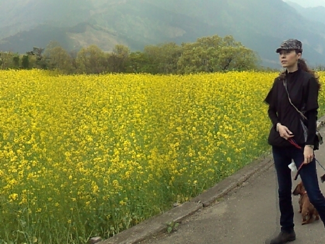 菜の花畑で犬の散歩♪_翠波高原