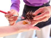 mocoさんの呼子朝市の投稿写真1