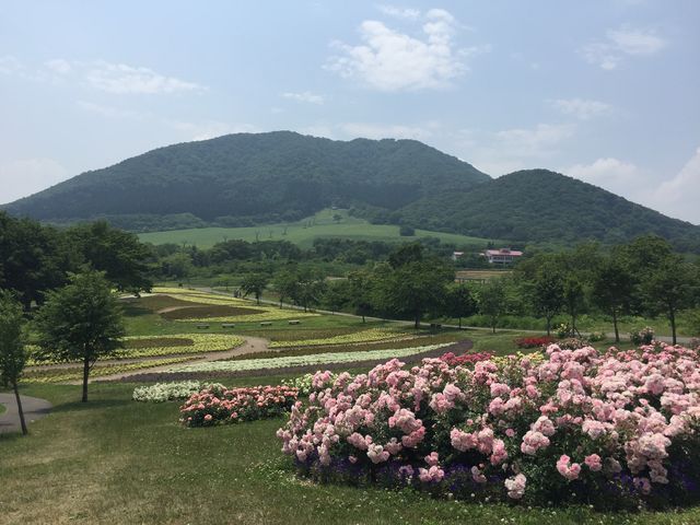 薬莱山