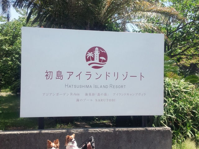 初島だょ。_PICA初島