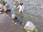 かざはんさんの富士山こどもの国の投稿写真1