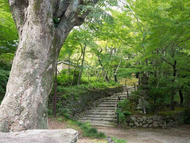 池の上の方に歩いて行った途中。_小田原市郷土文化館分館 松永記念館