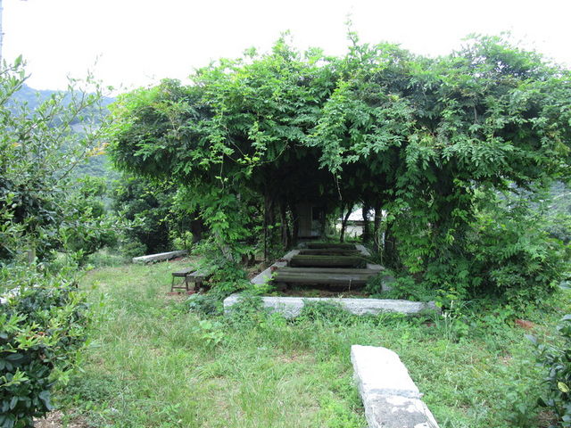 いわぴいさんの白潟海岸の投稿写真1