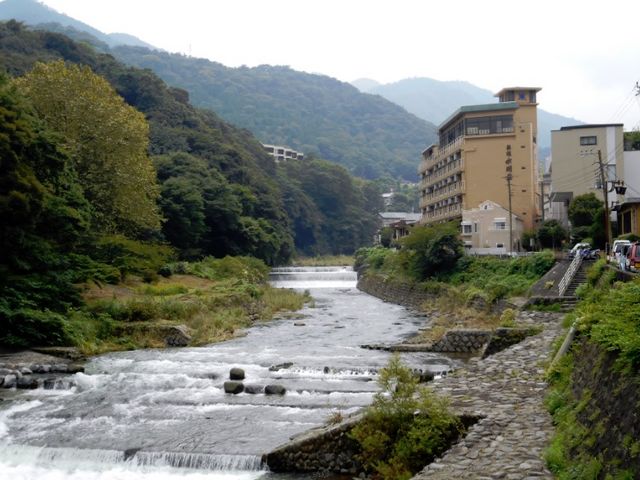 「 あじさい橋 」からの早川_早川