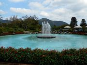 だいすっき!さんの箱根強羅公園の投稿写真1