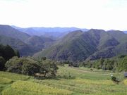 ままぽんさんの高原霧の里の投稿写真1