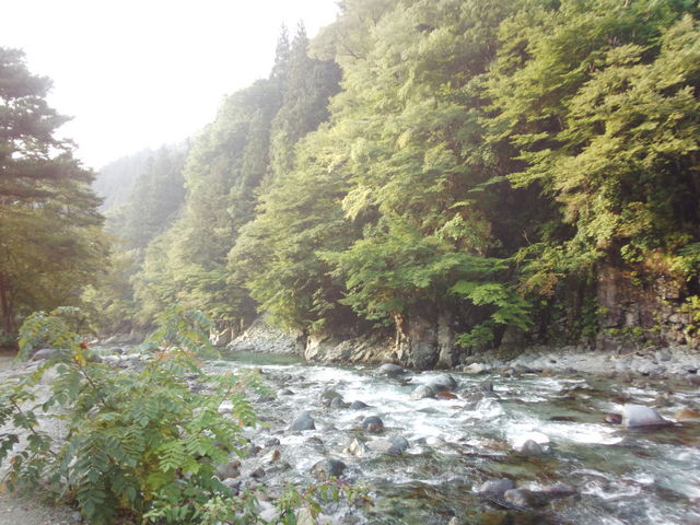 レイさんの付知川の投稿写真1